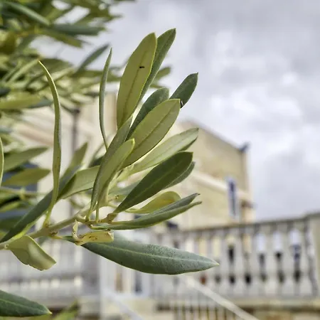 Tenuta Gorga Trani